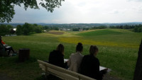 Artikelbild